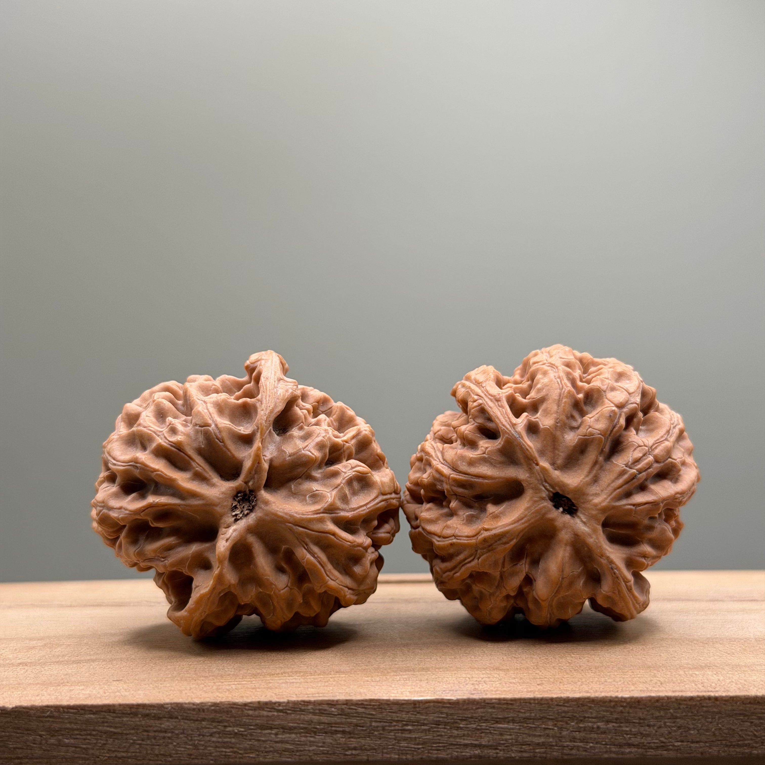Apple Orchard Lion Head Wenwan Walnut