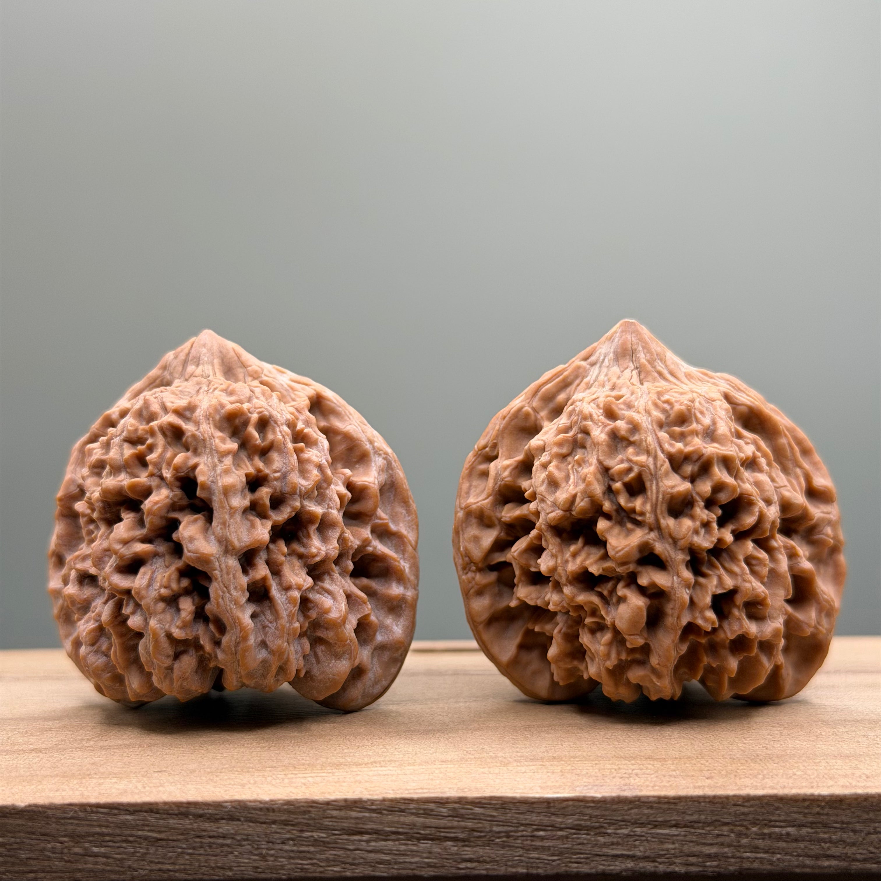 Starry Sky Lion Head Wenwan Walnut