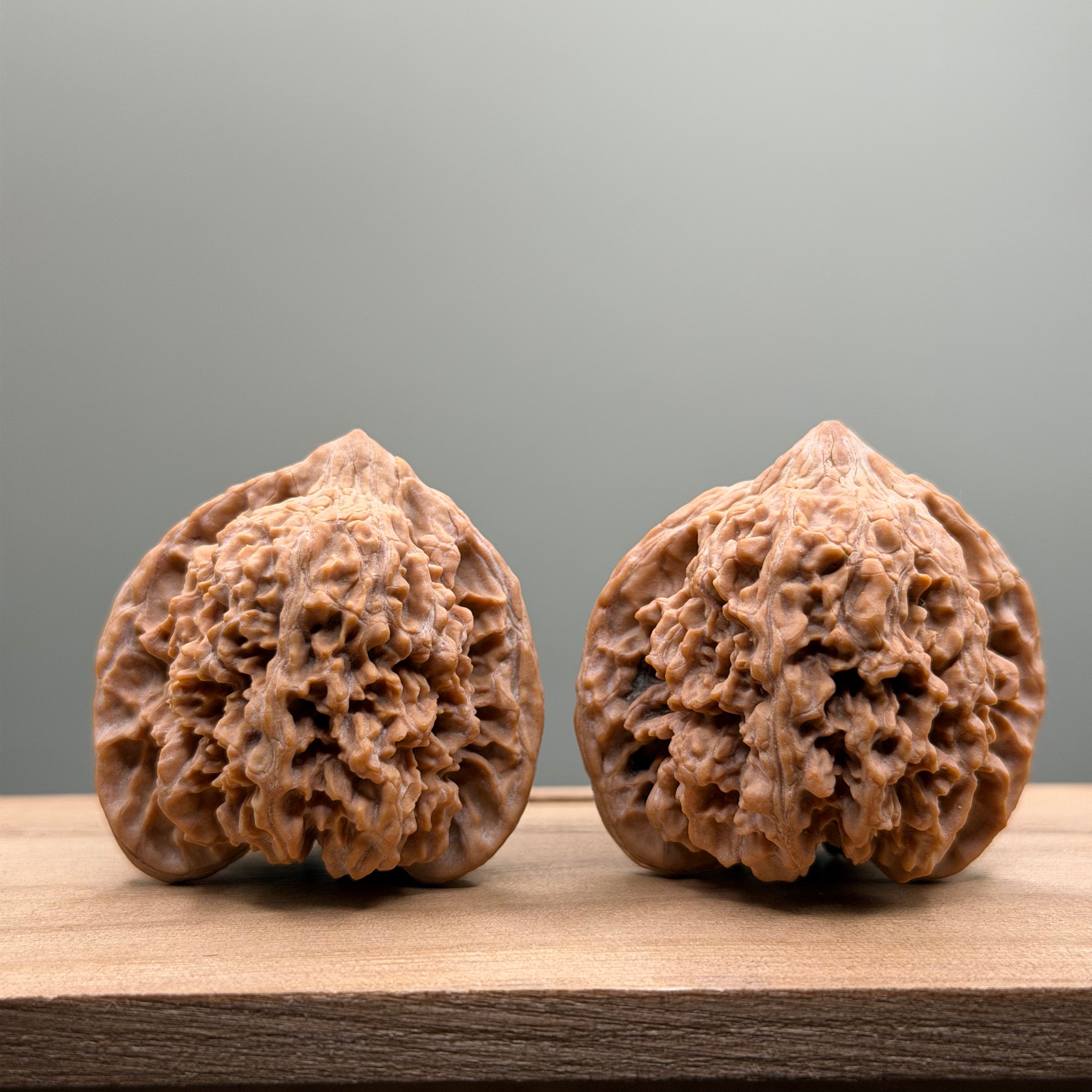 Starry Sky Lion Head Wenwan Walnut