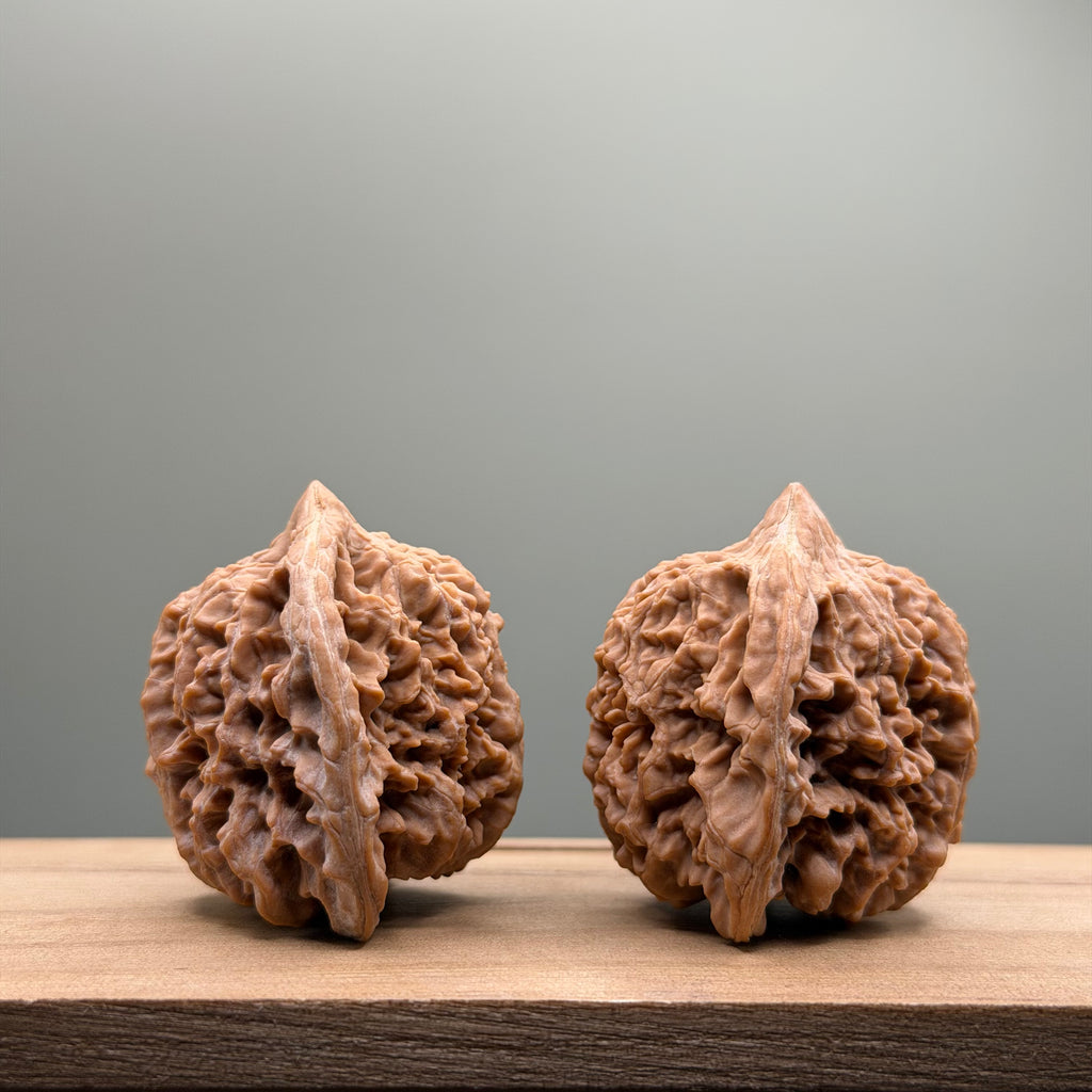 Starry Sky Lion Head Wenwan Walnut