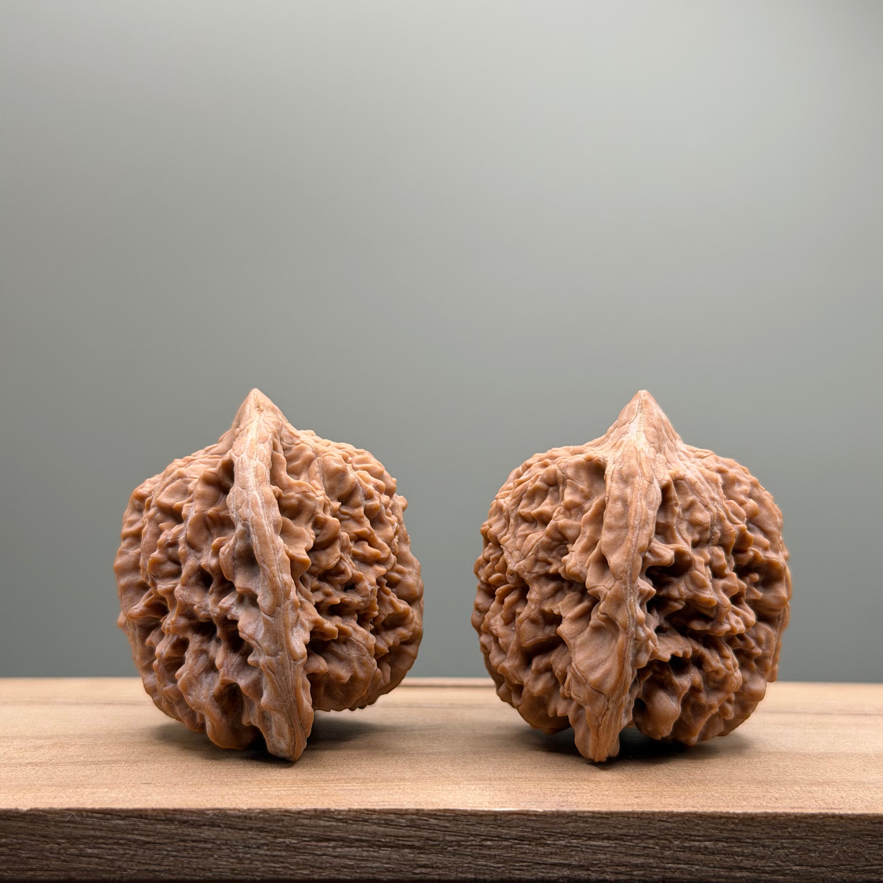 Starry Sky Lion Head Wenwan Walnut
