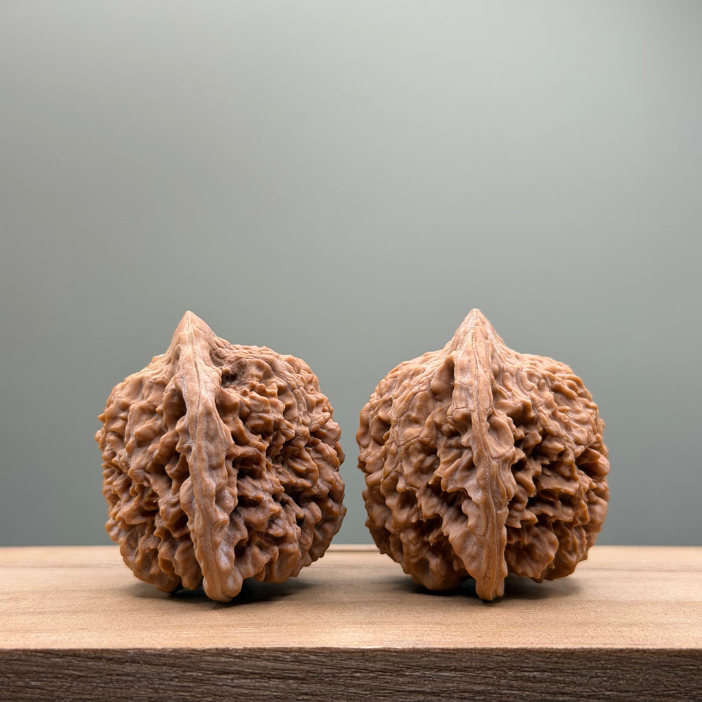 Starry Sky Lion Head Wenwan Walnut