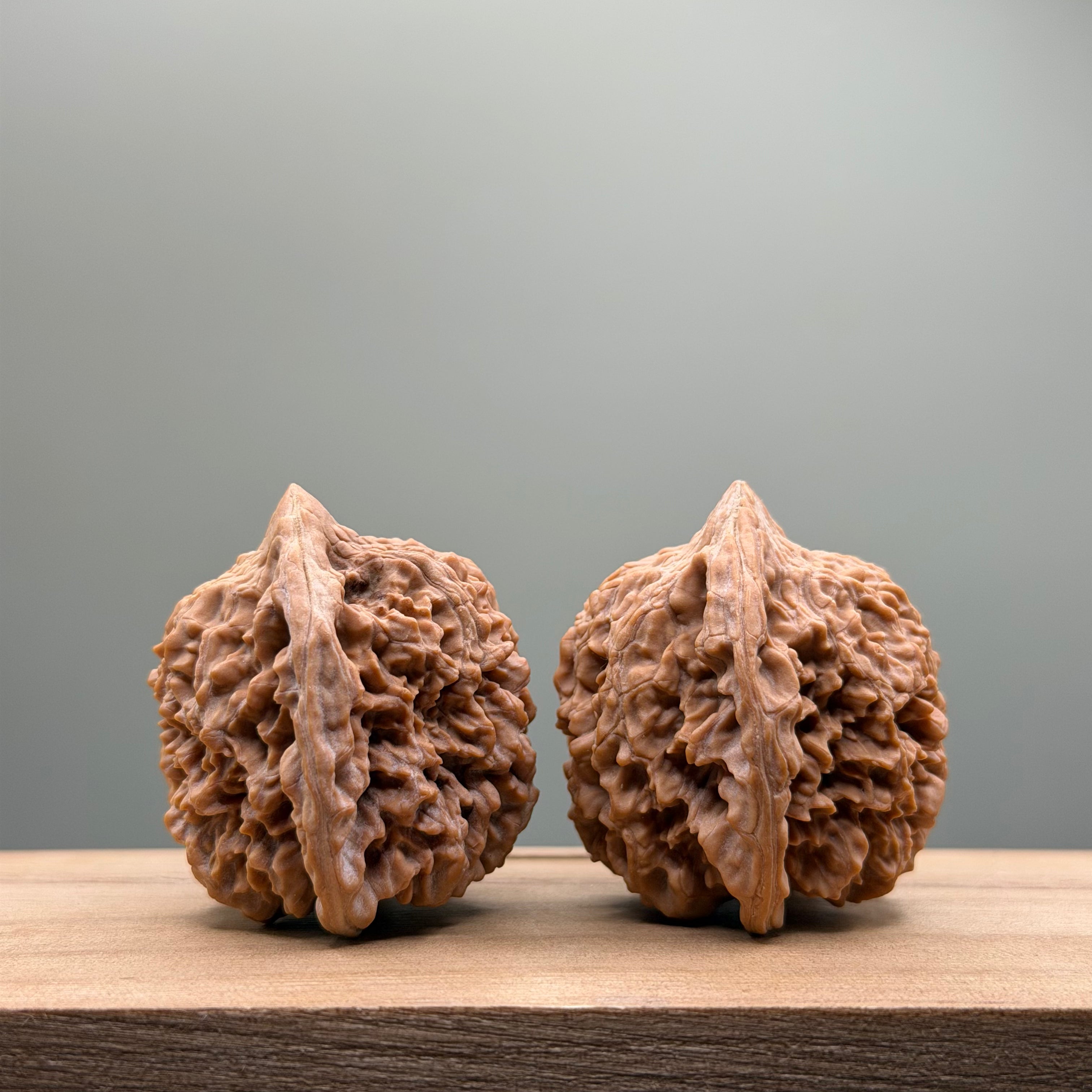 Starry Sky Lion Head Wenwan Walnut