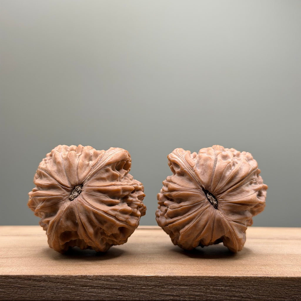 Millstone Lion Head Wenwan Walnut