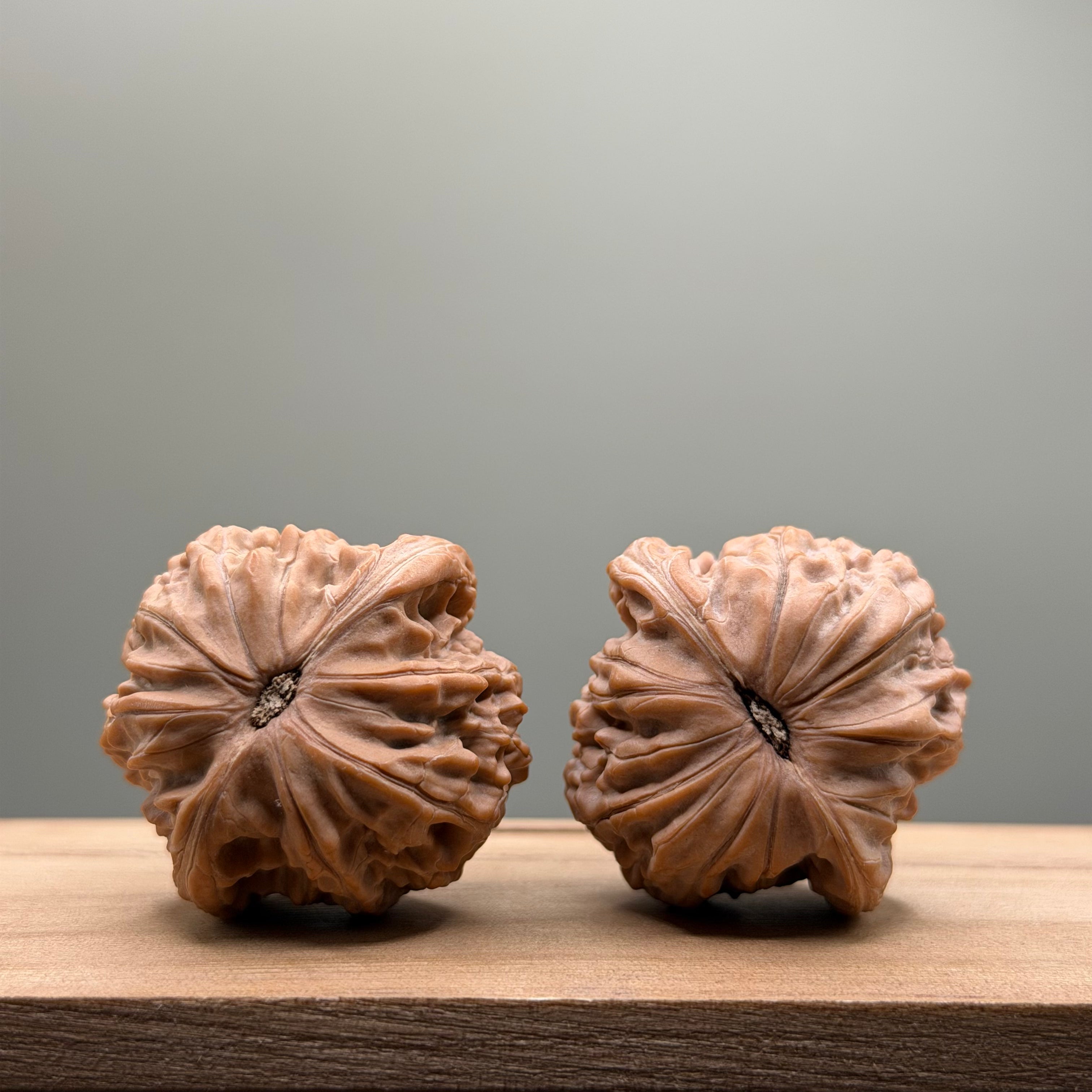 Millstone Lion Head Wenwan Walnut