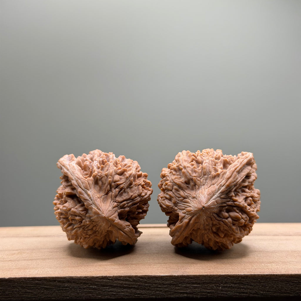 Starry Sky Lion Head Wenwan Walnut