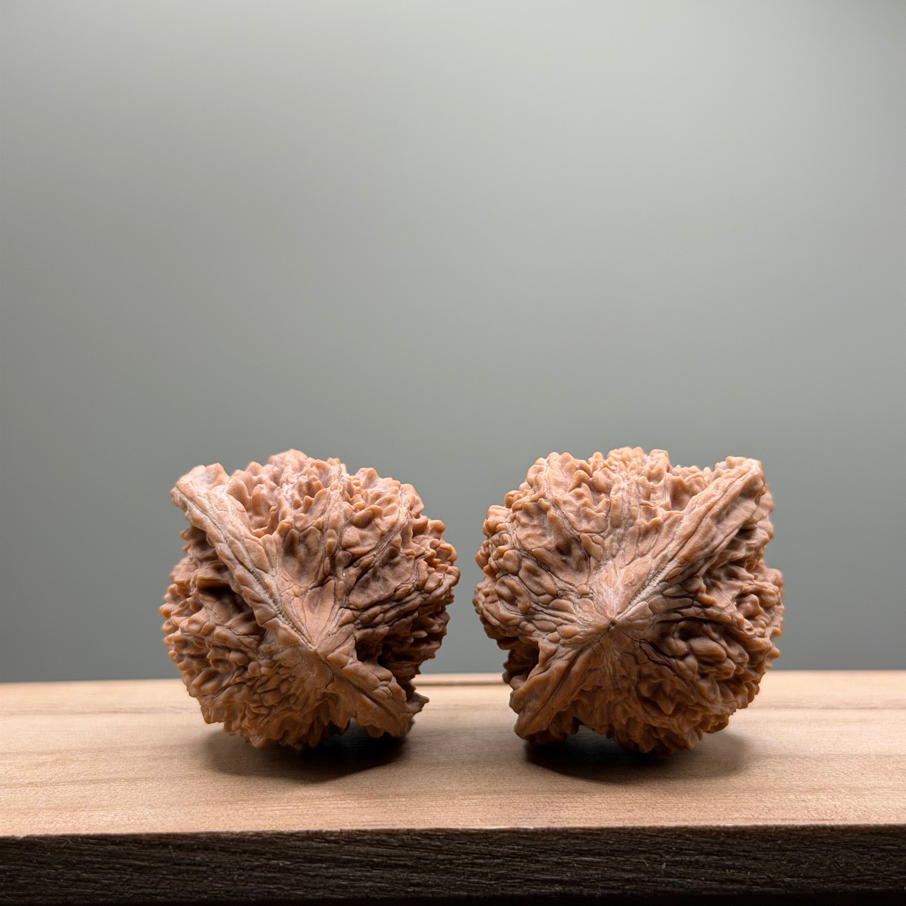Starry Sky Lion Head Wenwan Walnut