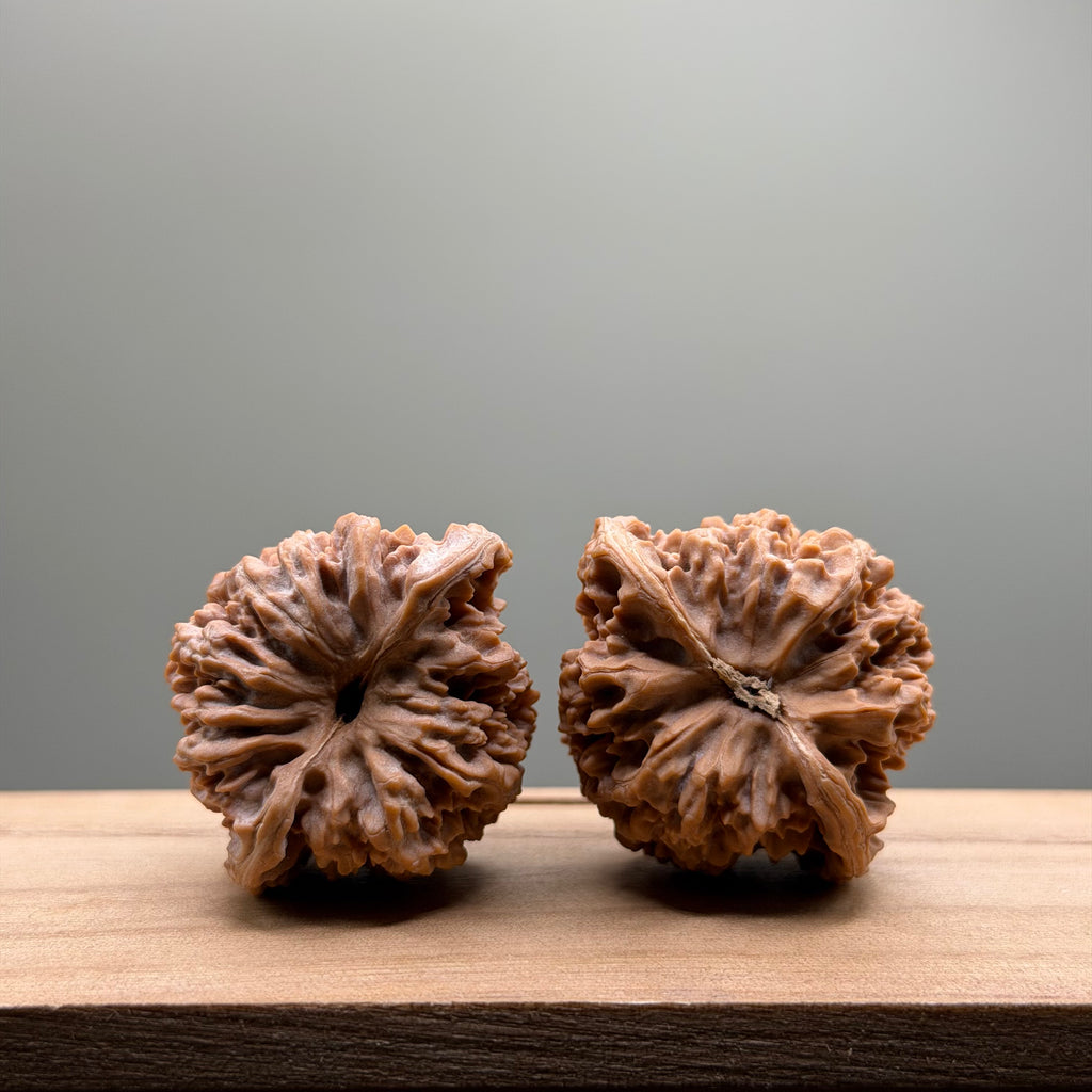 Starry Sky Lion Head Wenwan Walnut