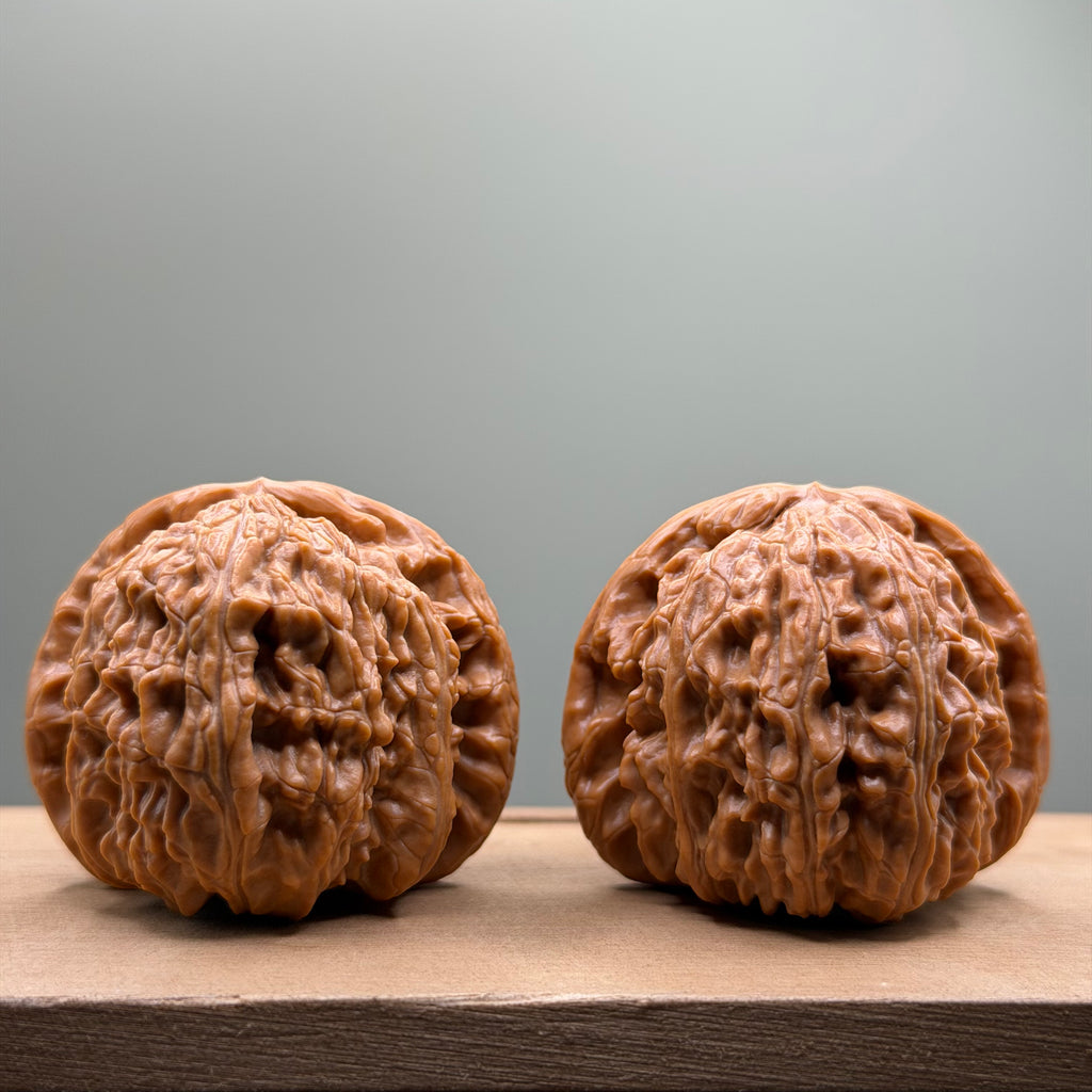 White Lion Head Wenwan Walnut