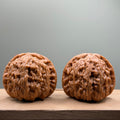 White Lion Head Wenwan Walnut