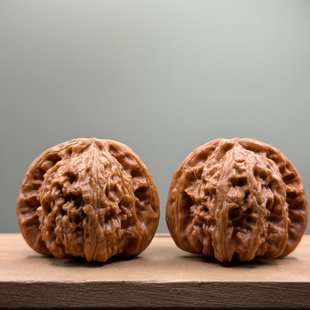 White Lion Head Wenwan Walnut