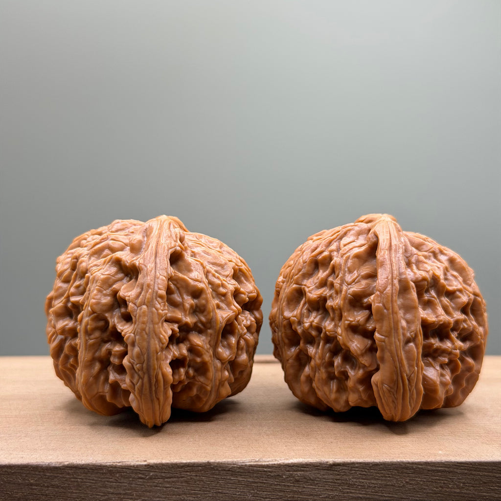 White Lion Head Wenwan Walnut