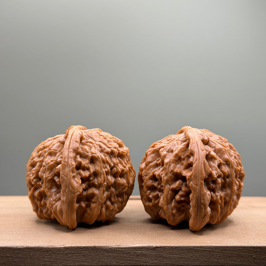White Lion Head Wenwan Walnut