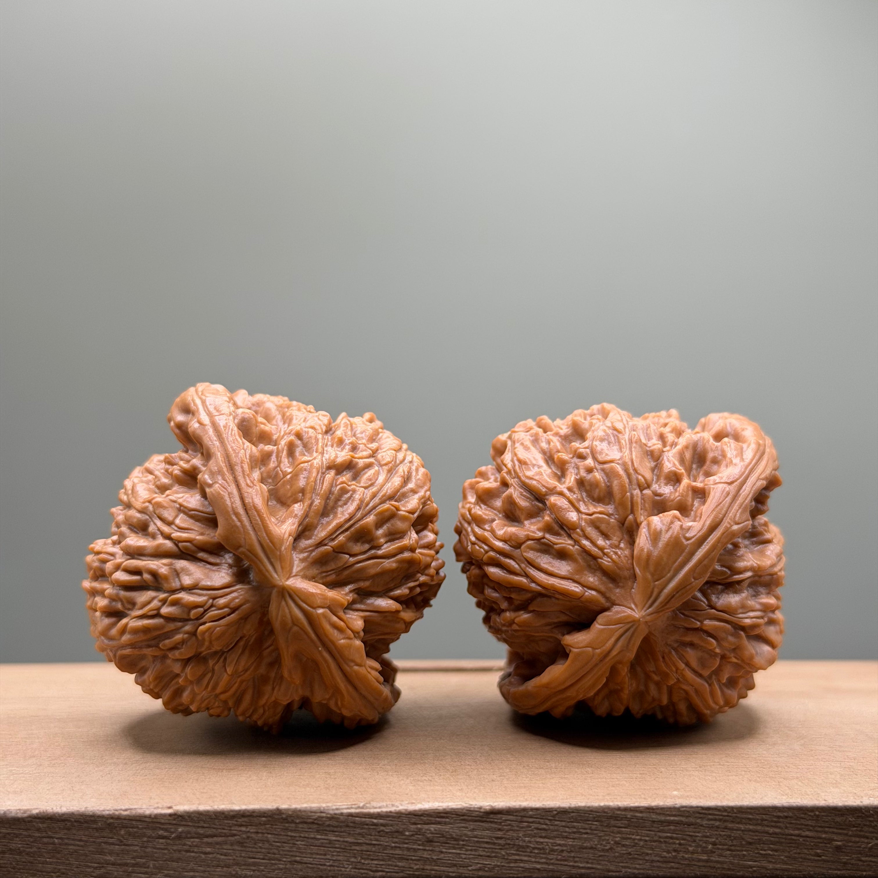 White Lion Head Wenwan Walnut