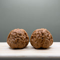 Toad Head Wenwan Walnut