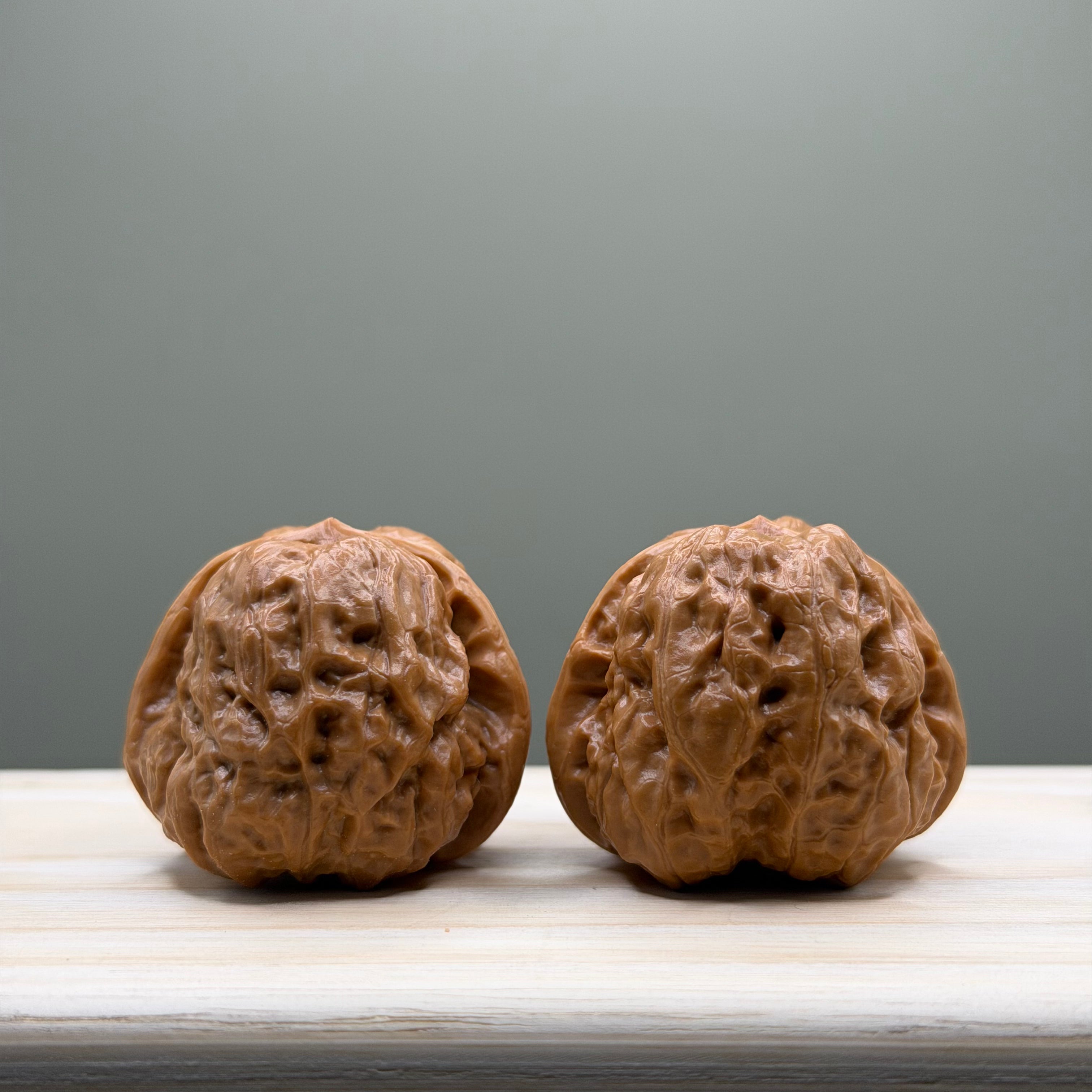 Toad Head Wenwan Walnut