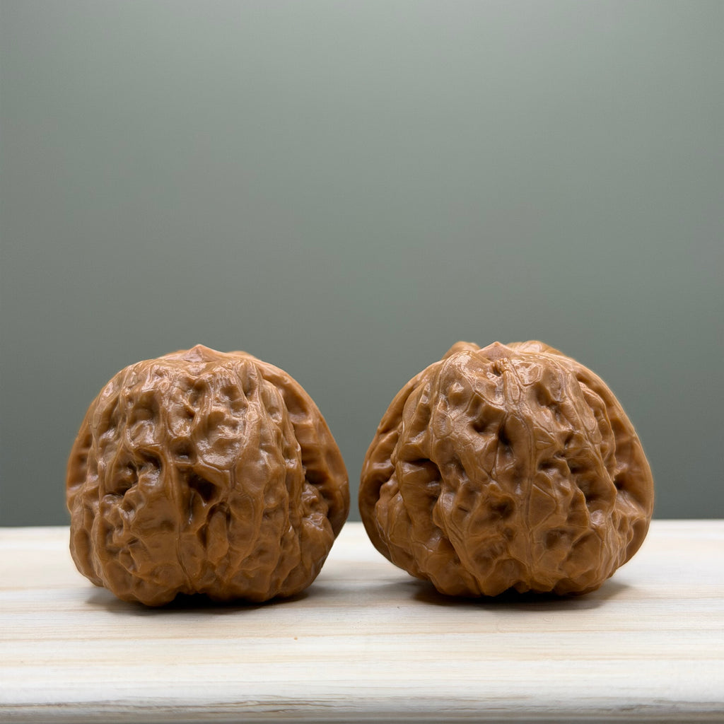 Toad Head Wenwan Walnut