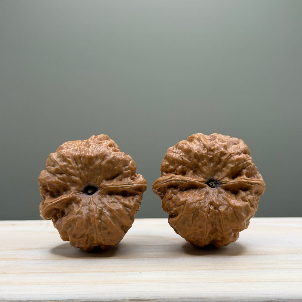 Toad Head Wenwan Walnut