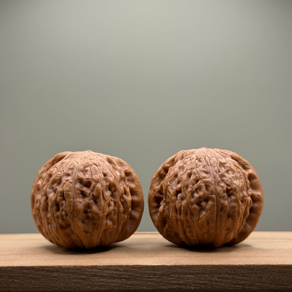 Hammer sister Wenwan Walnut