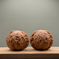 Hammer sister Wenwan Walnut