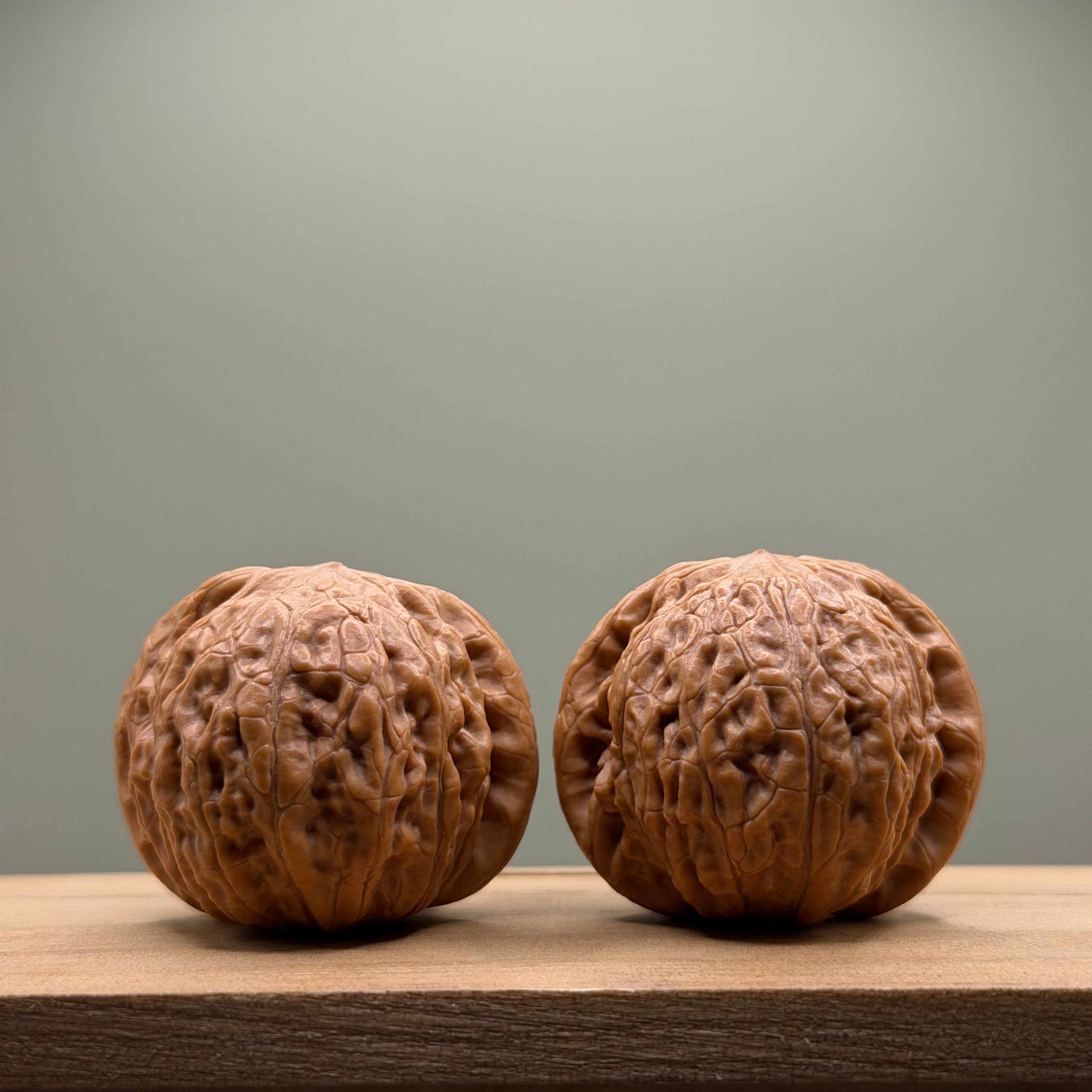 Hammer sister Wenwan Walnut