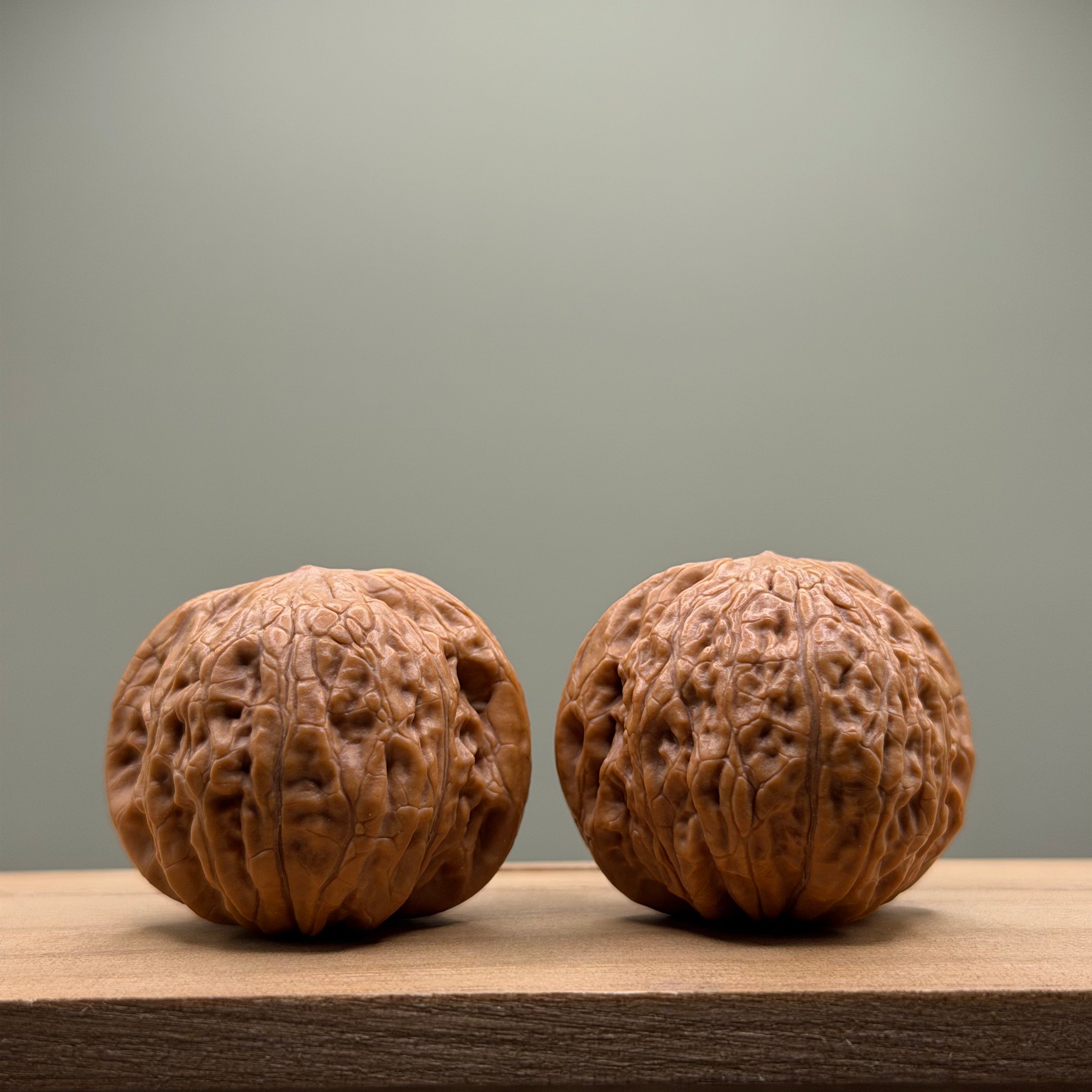 Hammer sister Wenwan Walnut