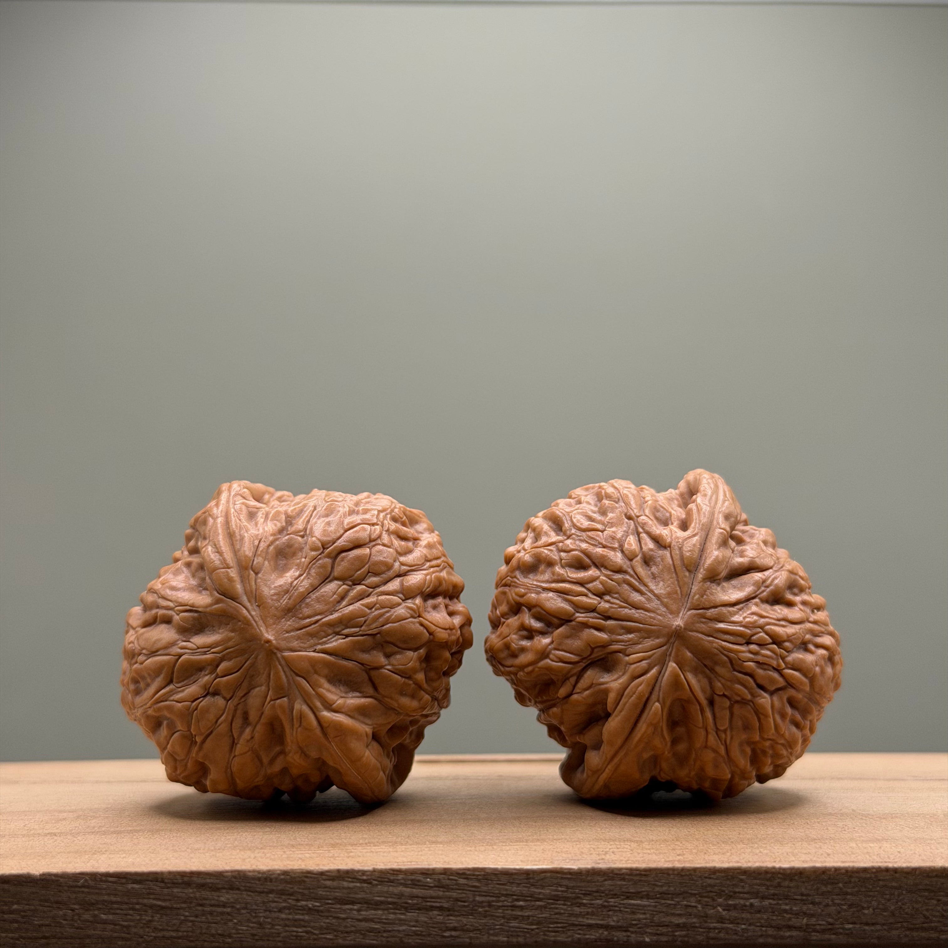 Hammer sister Wenwan Walnut