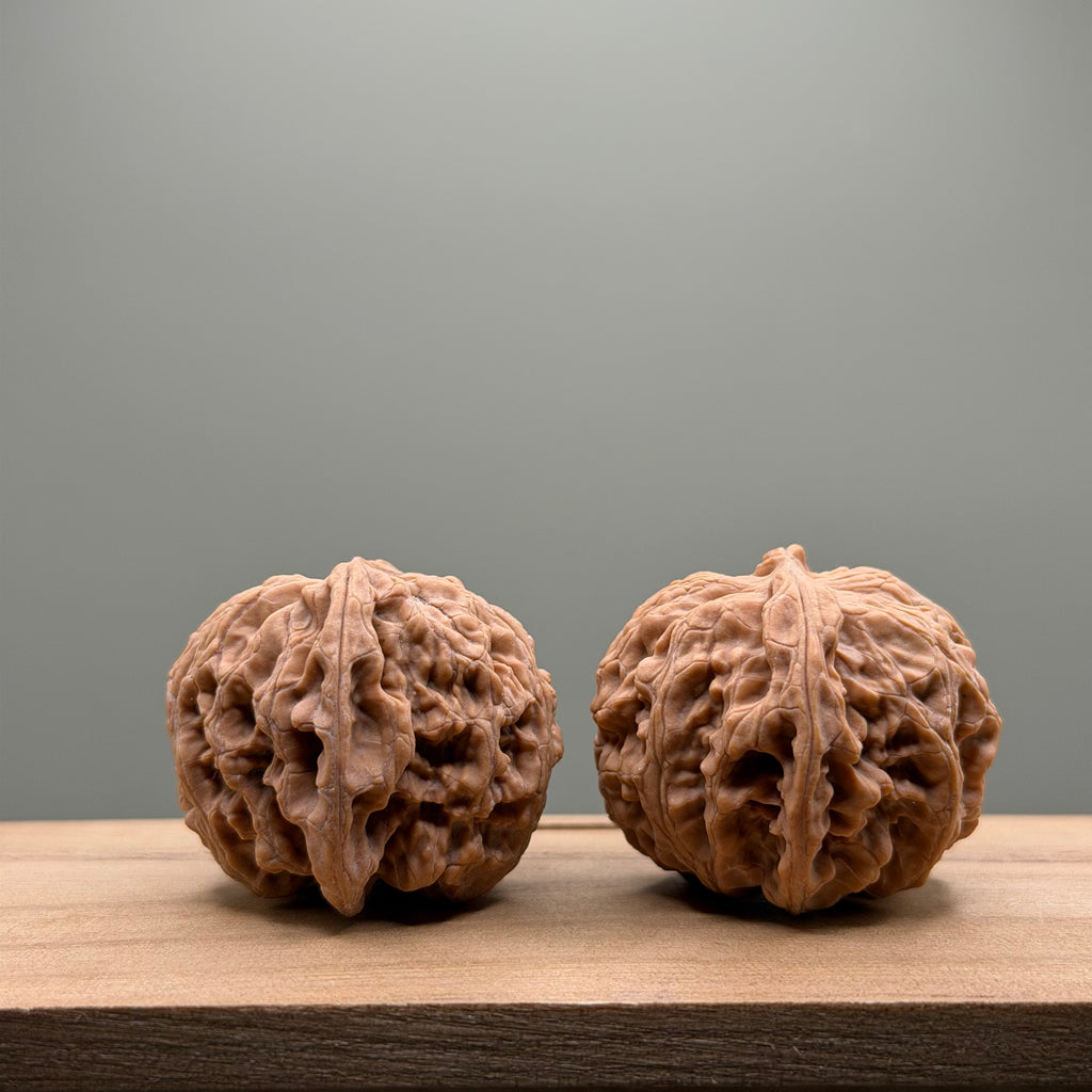 Apple Orchard Wenwan Walnut