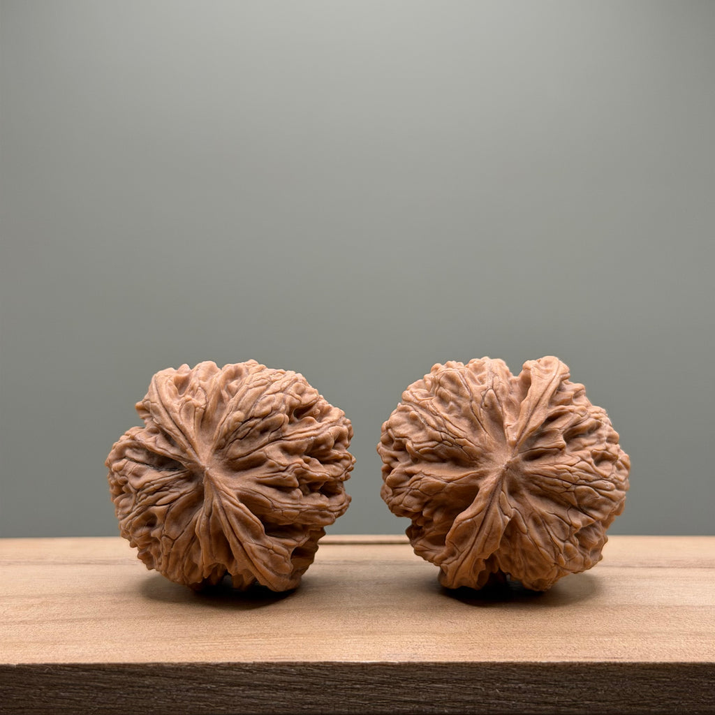 Apple Orchard Wenwan Walnut