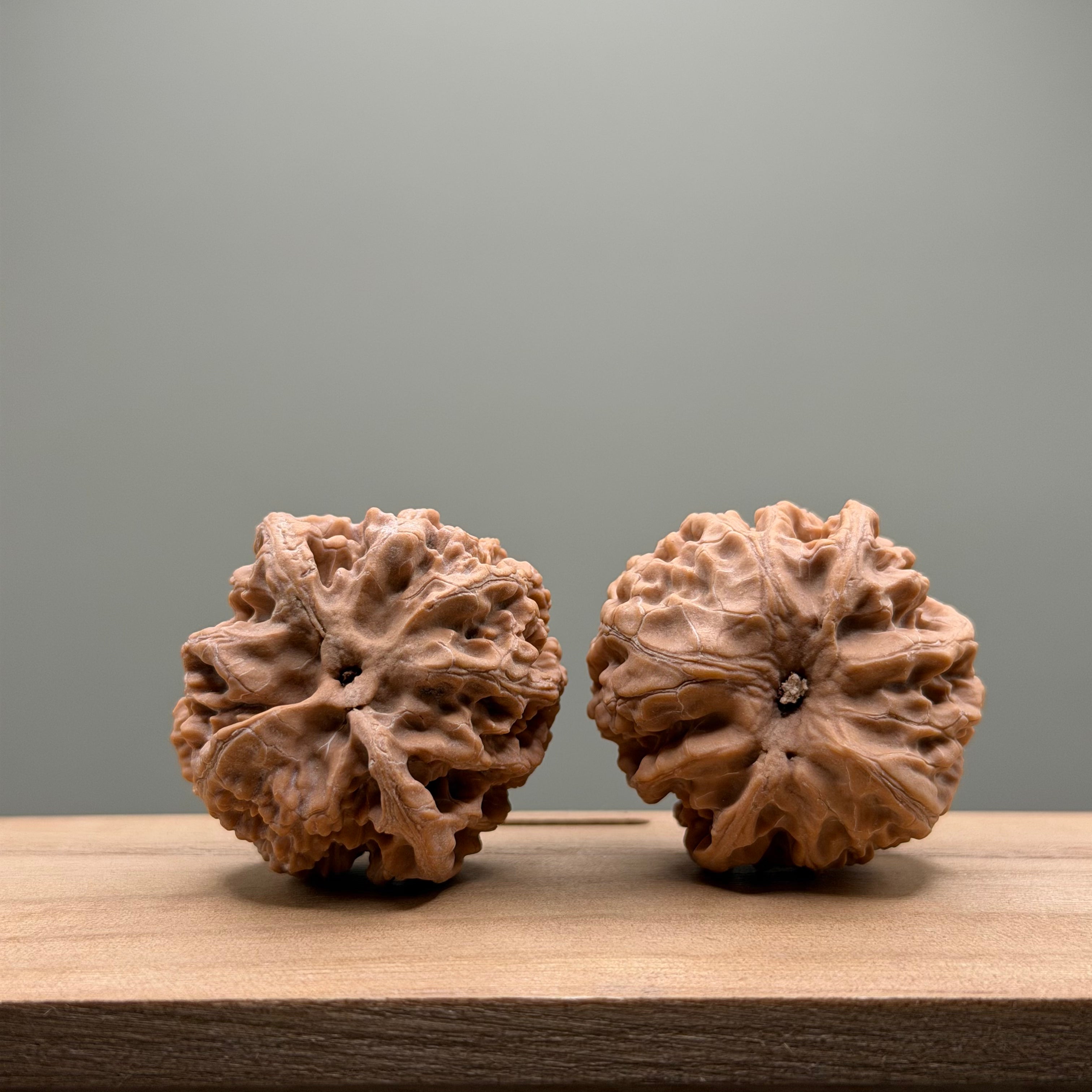 Apple Orchard Wenwan Walnut