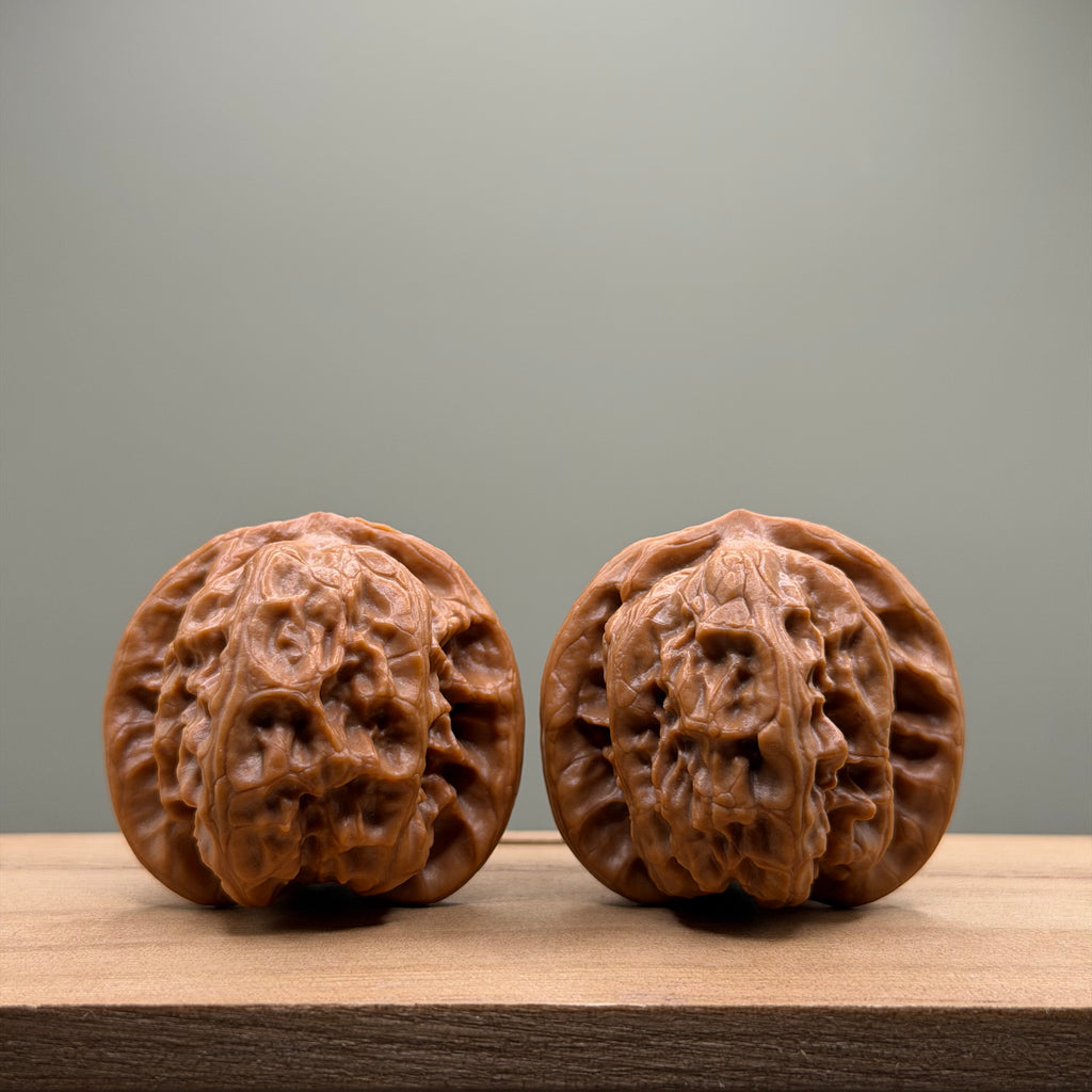 Wild Wolf Lion Head Wenwan Walnut