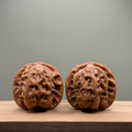 Wild Wolf Lion Head Wenwan Walnut