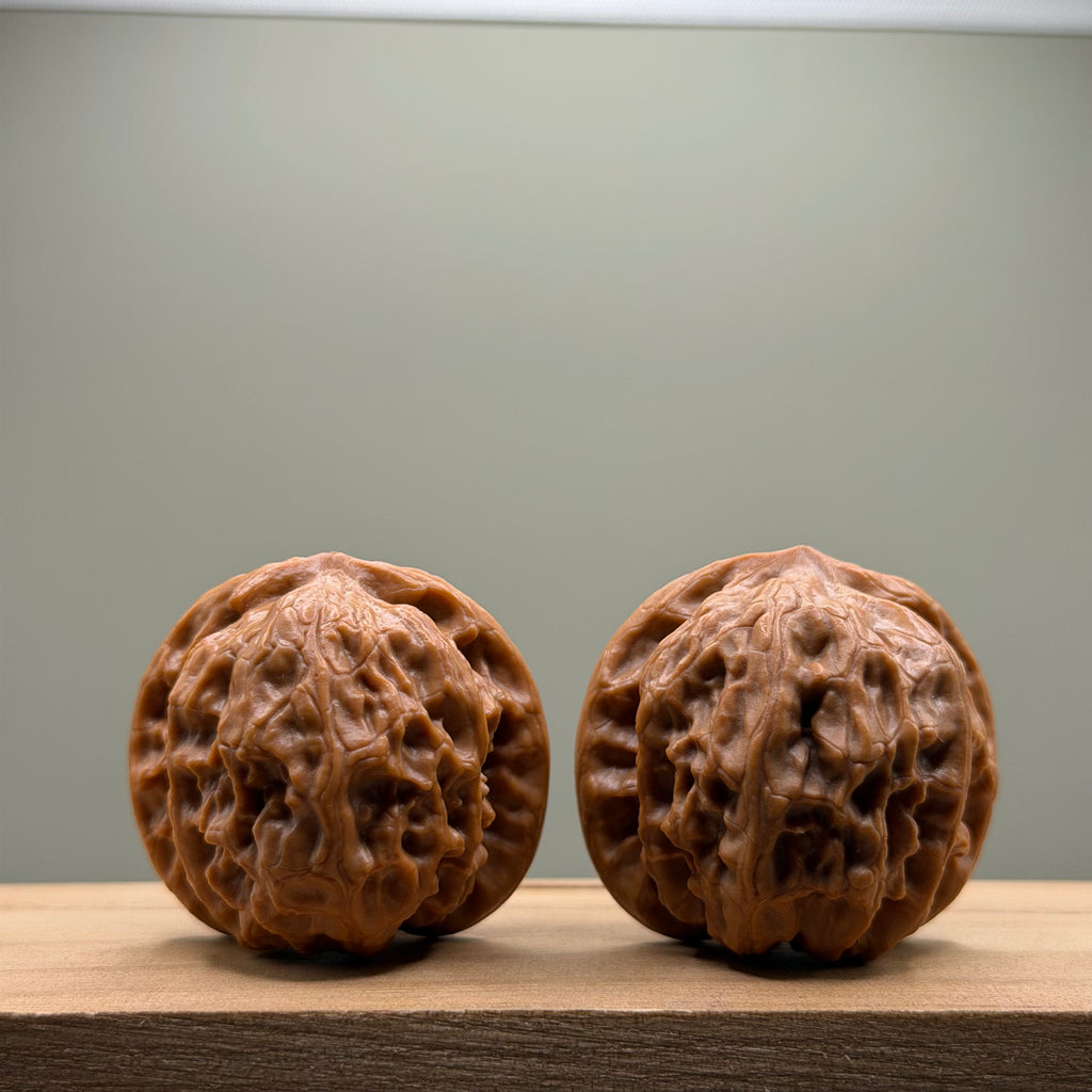 Wild Wolf Lion Head Wenwan Walnut