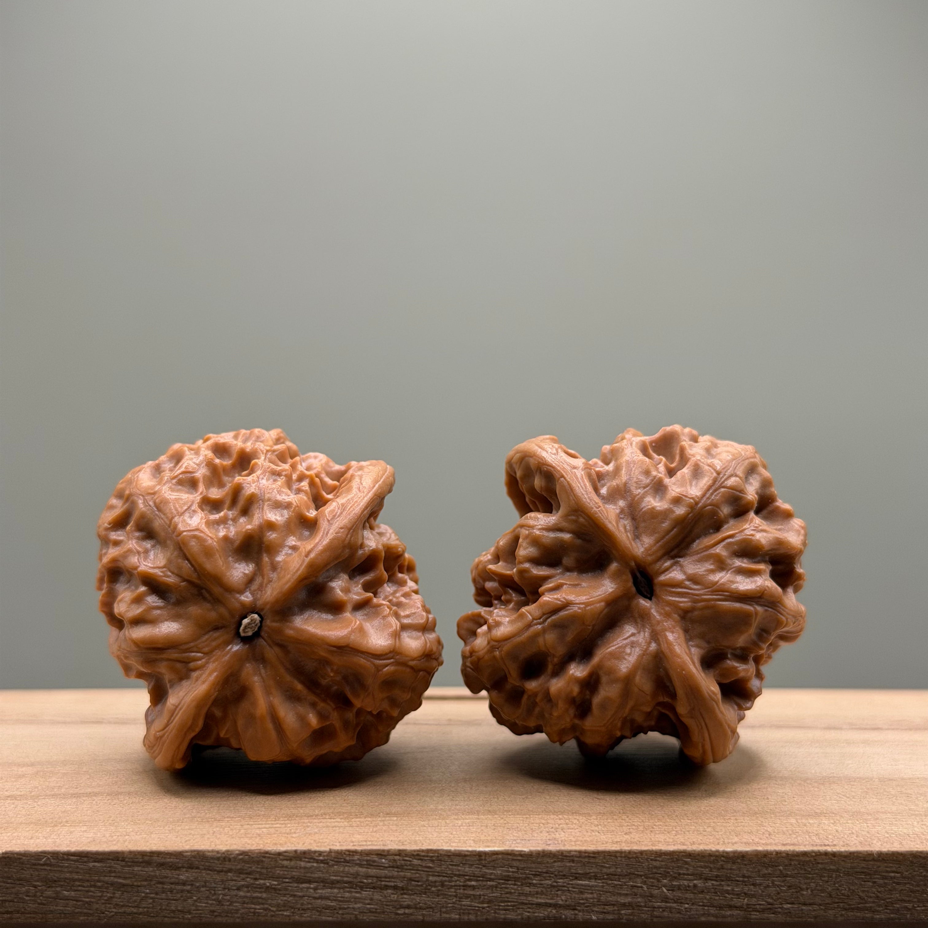 Wild Wolf Lion Head Wenwan Walnut