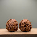 Nanjiang Stone Lion Head Wenwan Walnut