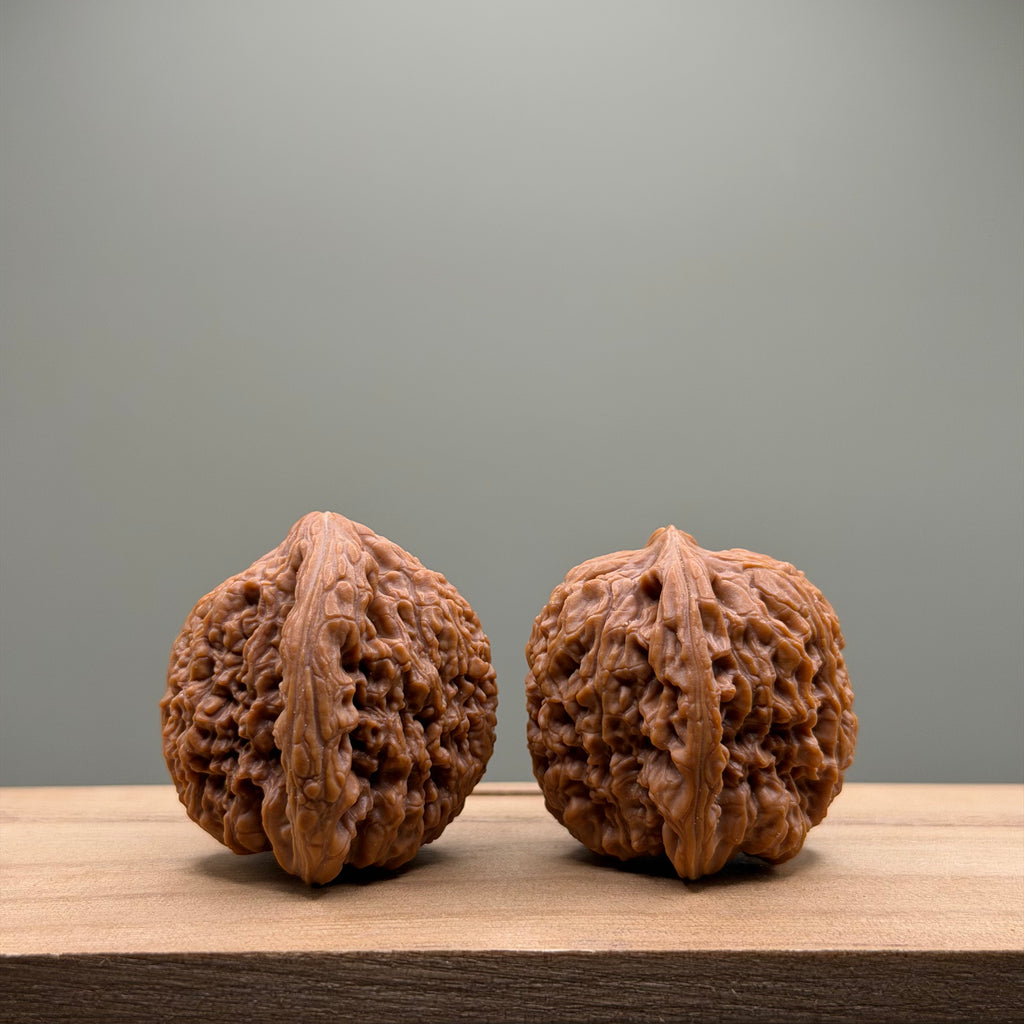 Nanjiang Stone Lion Head Wenwan Walnut