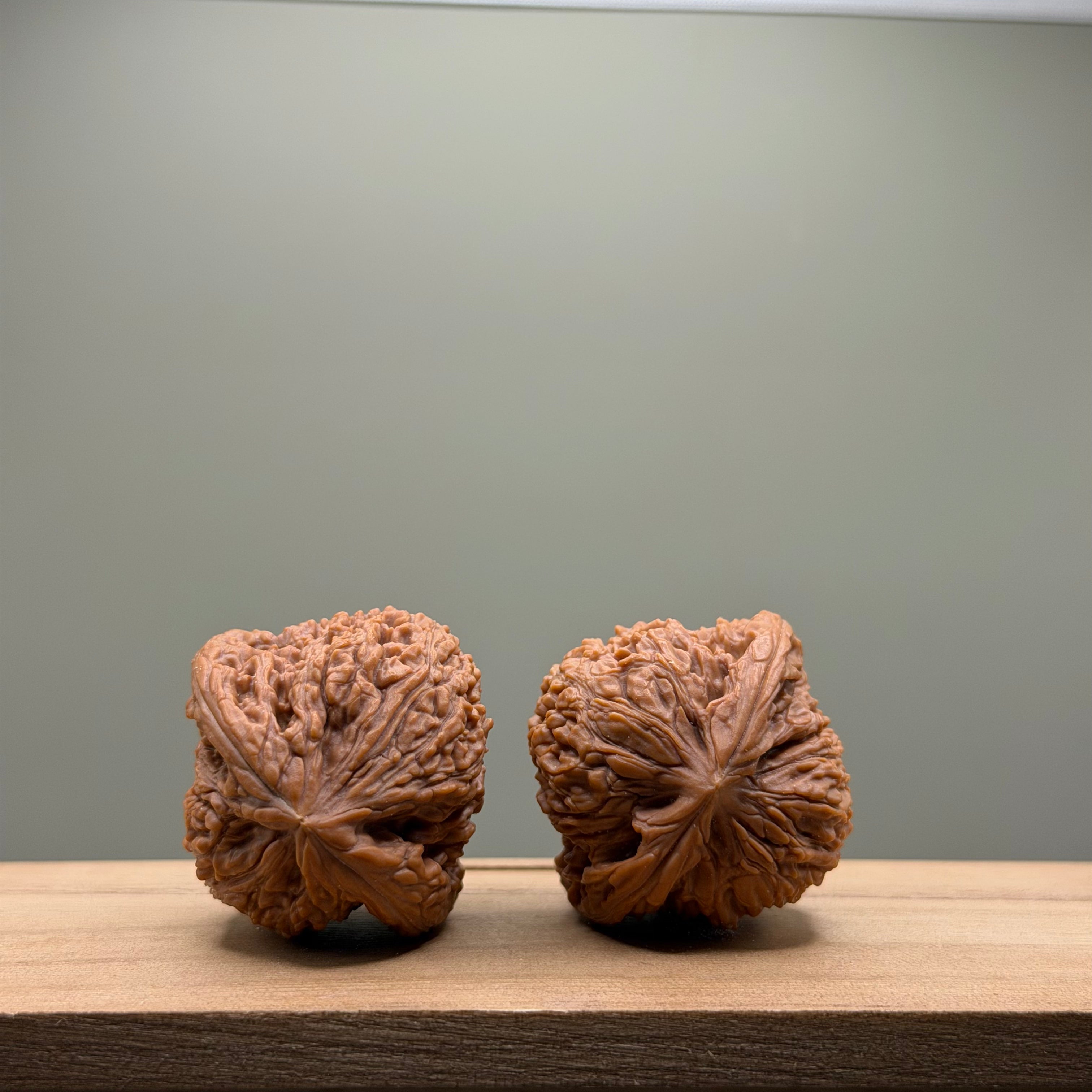 Nanjiang Stone Lion Head Wenwan Walnut