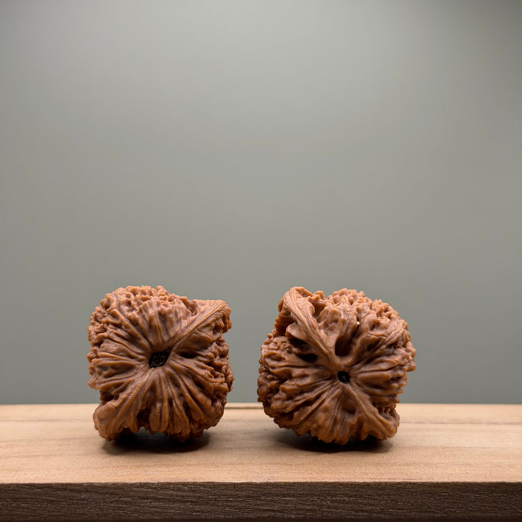 Nanjiang Stone Lion Head Wenwan Walnut