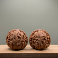 Nanjiang Stone Lion Head Wenwan Walnut
