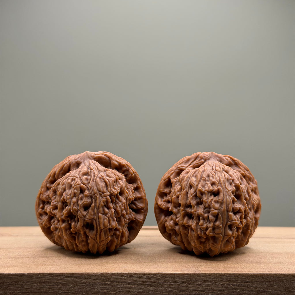 Nanjiang Stone Lion Head Wenwan Walnut