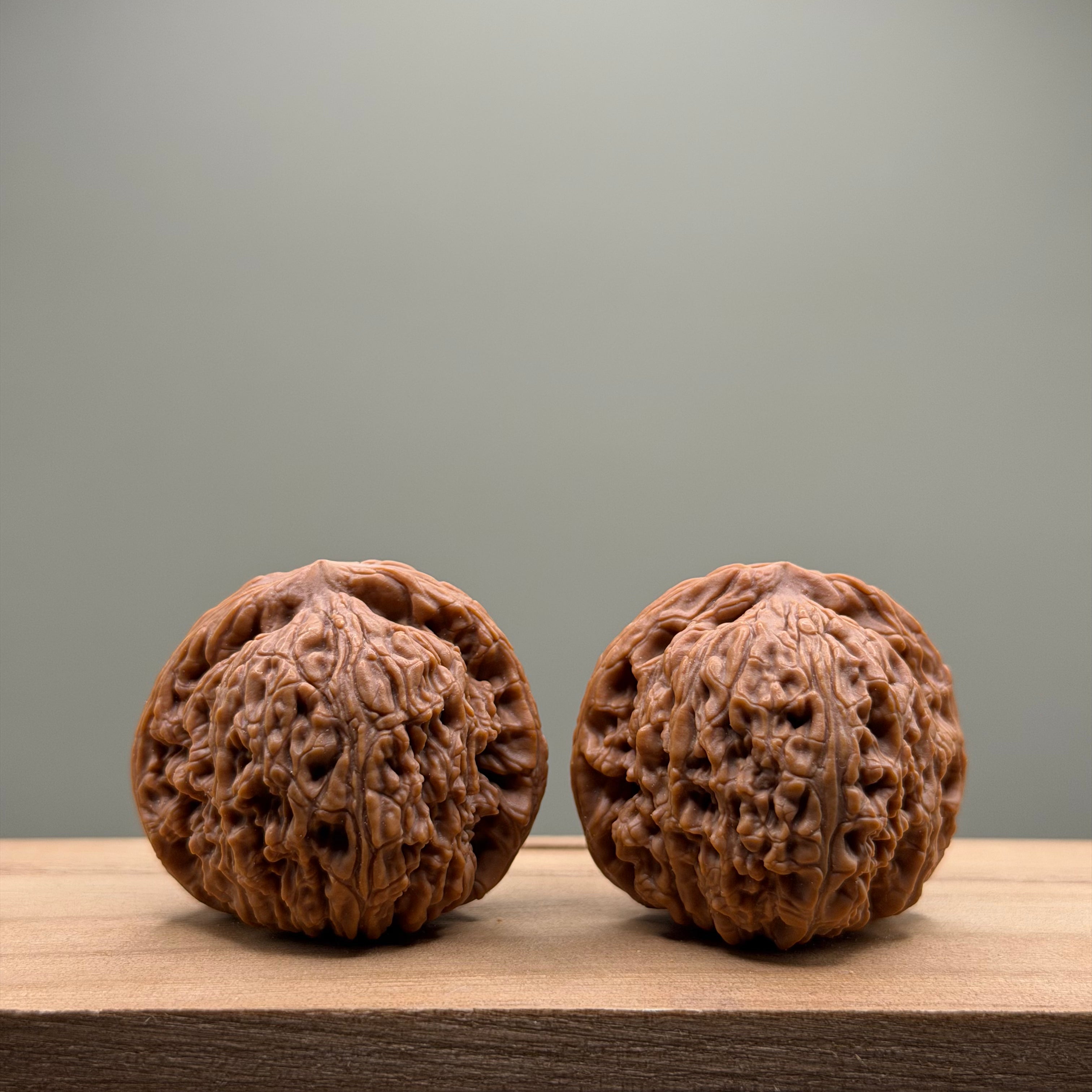 Nanjiang Stone Lion Head Wenwan Walnut