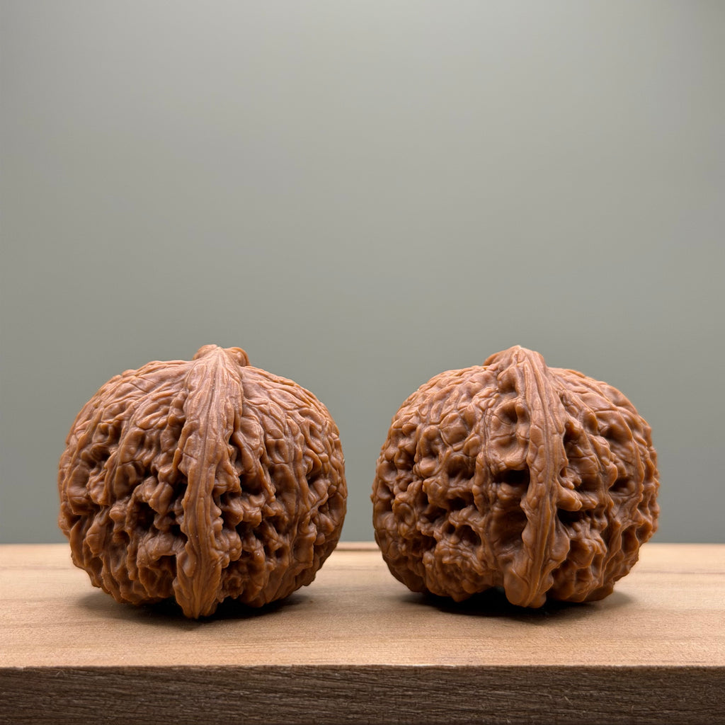Nanjiang Stone Lion Head Wenwan Walnut