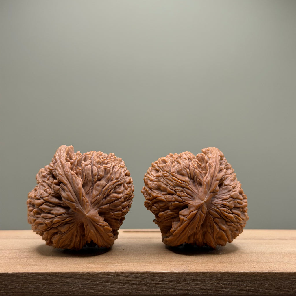 Nanjiang Stone Lion Head Wenwan Walnut