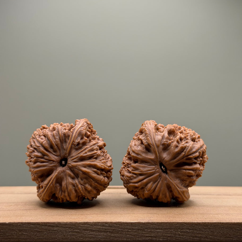 Nanjiang Stone Lion Head Wenwan Walnut