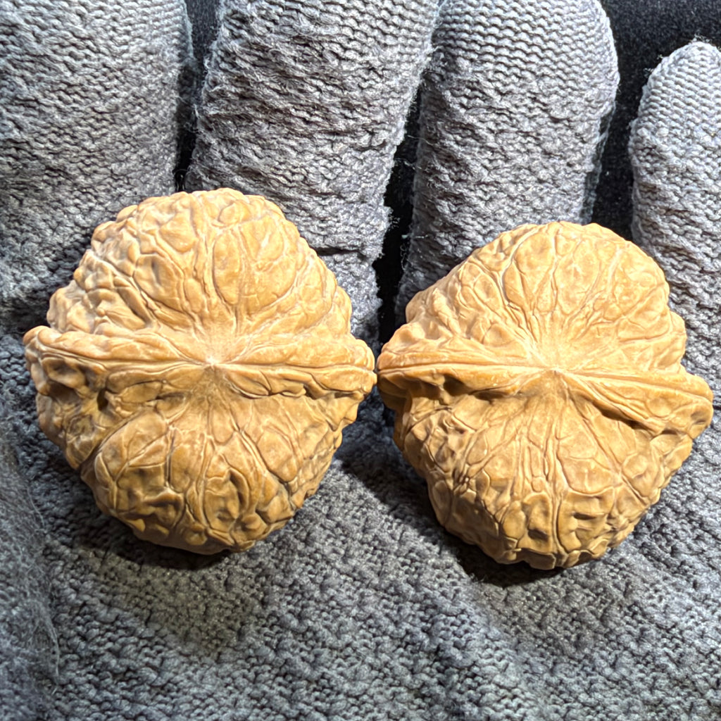 Pumpkin Wenwan Walnut · 39mm · Natural · Entry Ritual