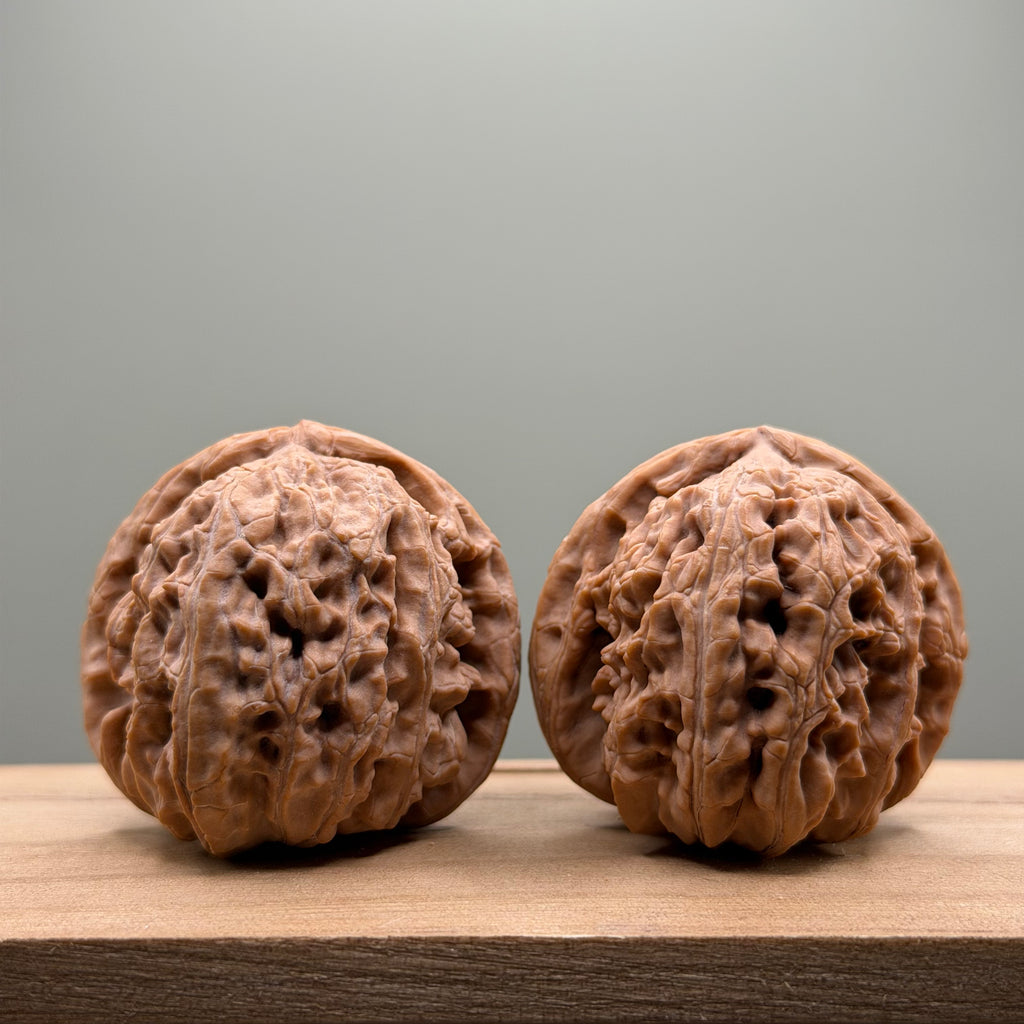White Lion Head Wenwan Walnut