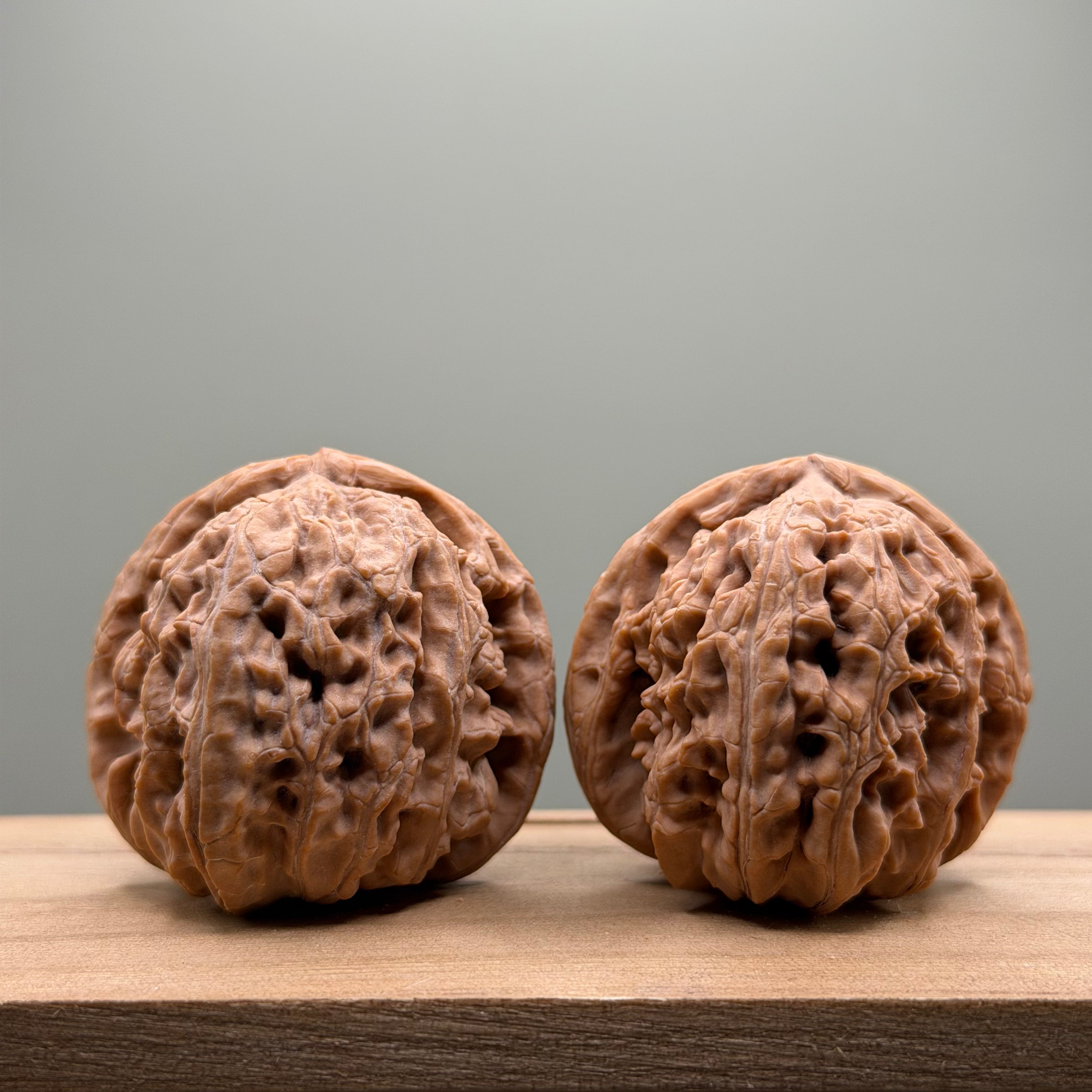 White Lion Head Wenwan Walnut