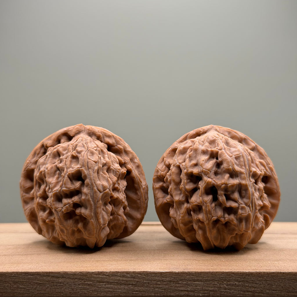 White Lion Head Wenwan Walnut