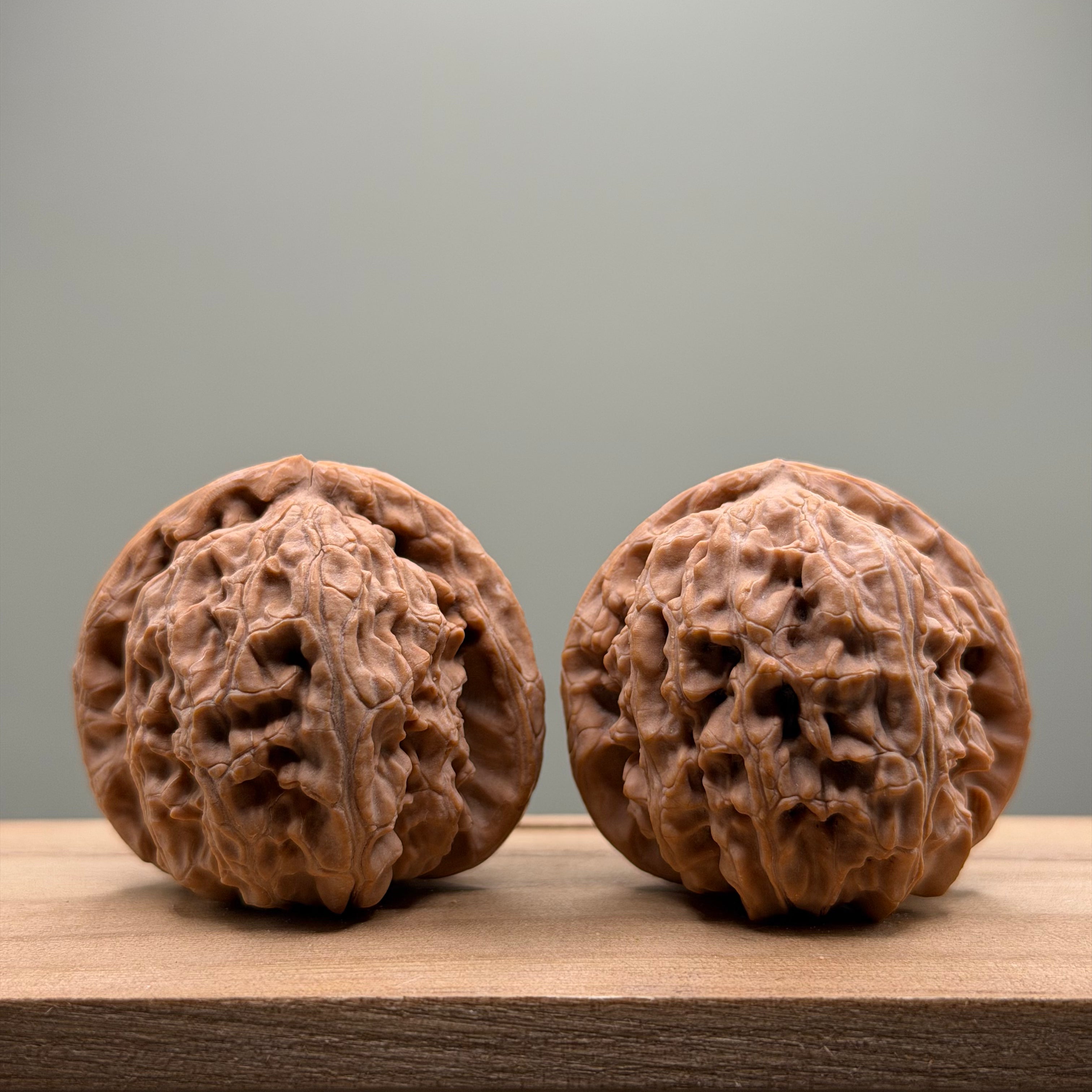 White Lion Head Wenwan Walnut