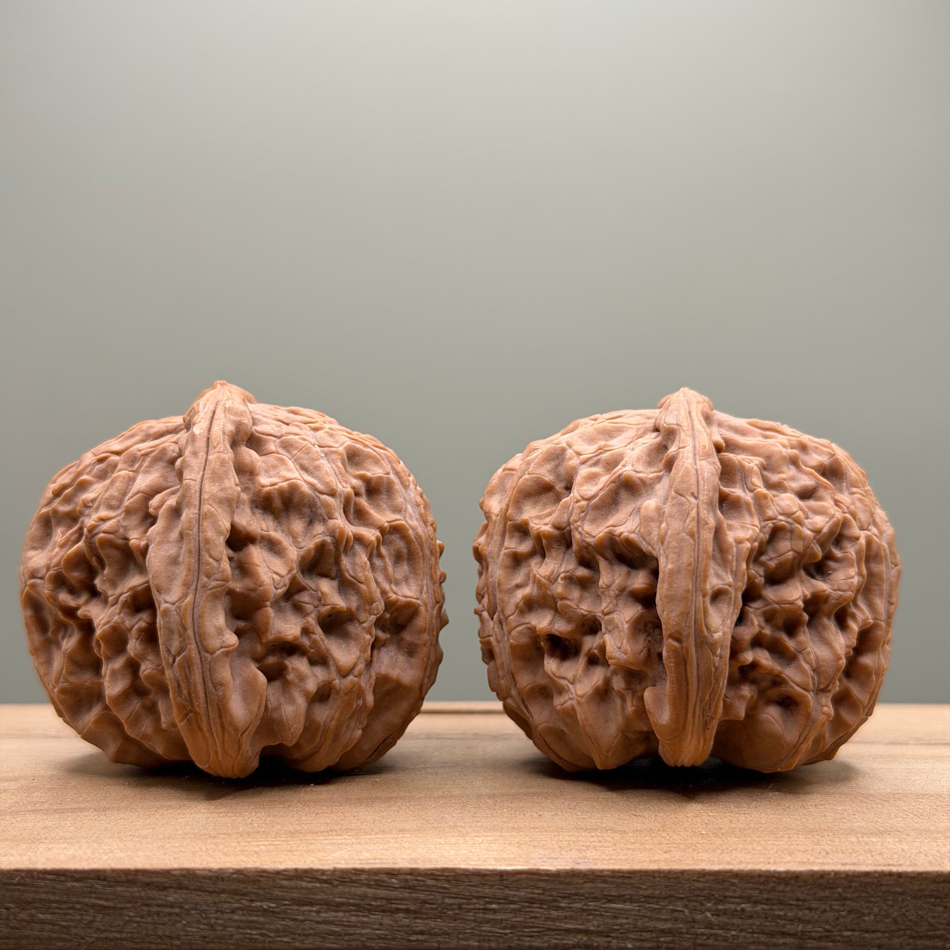 White Lion Head Wenwan Walnut